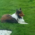Profile picture deb-price5.bsky.social