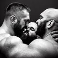 Profile picture bearwear.bsky.social