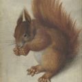 Profile picture squirrelbrarian.bsky.social