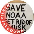 Profile picture mikekinseattle.bsky.social