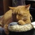Profile picture jen76247.bsky.social