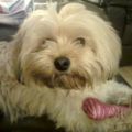 Profile picture calton56.bsky.social