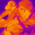 Profile picture nakedprimate.bsky.social