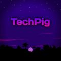 Profile picture techpig.tehcraft.xyz