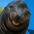 Profile picture hutnik.bsky.social