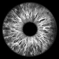 Profile picture hypnoponic.bsky.social