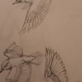 Profile picture rdartist.bsky.social