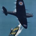 Profile picture tighe77.bsky.social