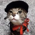 Profile picture sushicato.bsky.social