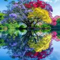 Profile picture mylifemychoice.bsky.social