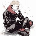 Profile picture sturmfuchszv.bsky.social