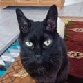 Profile picture pattyinaz.bsky.social