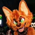 Profile picture scootfennec.bsky.social