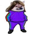 Profile picture thisuserisdumb.bsky.social