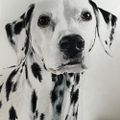 Profile picture leahmoore.bsky.social