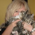Profile picture suerussellwrites.bsky.social