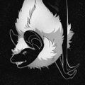 Profile picture kiqo.bsky.social