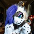 Profile picture ittybittygremlin.bsky.social