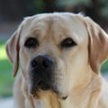 Profile picture mbunch003.bsky.social