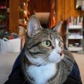 Profile picture knittherainbow.bsky.social