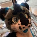 Profile picture nikosnep.bsky.social
