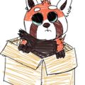 Profile picture curlyredpanda.bsky.social