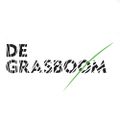 Profile picture grasboom.bsky.social