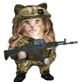 Profile picture stormabigail.bsky.social