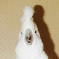 Profile picture ekvitki.bsky.social