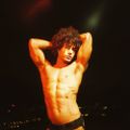Profile picture panterino.bsky.social
