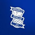 Profile picture birminghamcityfc.bsky.social