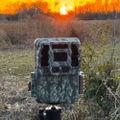 Profile picture trailcamwillie.bsky.social