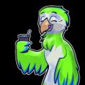 Profile picture domg.bsky.social
