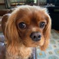 Profile picture keena14.bsky.social