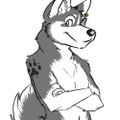 Profile picture nhusky.bsky.social