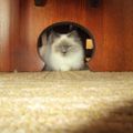 Profile picture billcsajko.bsky.social