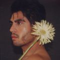Profile picture ozaloz.bsky.social