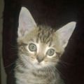 Profile picture daisydo333.bsky.social