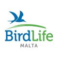 Profile picture birdlifemalta.bsky.social