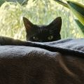 Profile picture minxsmum.bsky.social