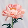 Profile picture amcloughlindesigns.bsky.social