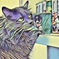 Profile picture mangacritic.bsky.social