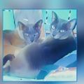 Profile picture joandwinston1.bsky.social