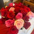 Profile picture dmarie1764.bsky.social