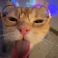 Profile picture duke-crtn.bsky.social