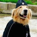 Profile picture jogadordesegunda.bsky.social