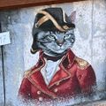 Profile picture saltycatz.bsky.social