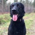 Profile picture thomashofmann.bsky.social