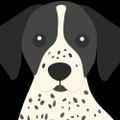 Profile picture spotteddogpapery.bsky.social