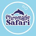 Profile picture chromaticsafari.bsky.social
